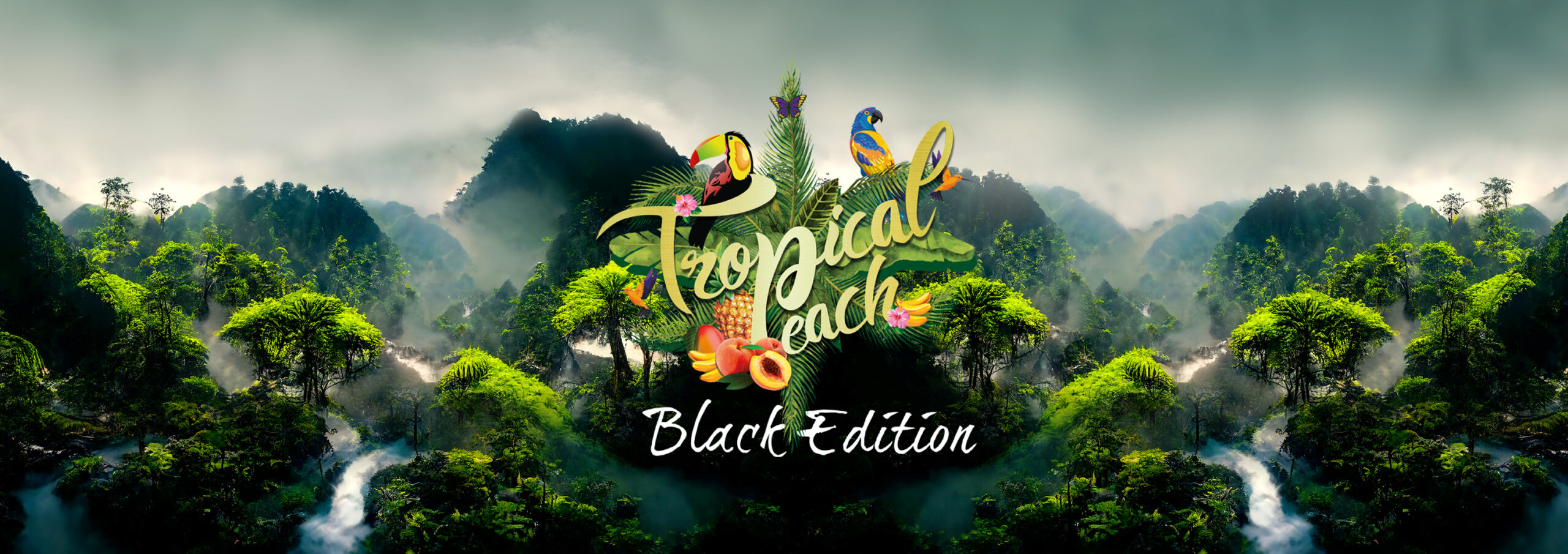 Tropical-peach-banner-interior