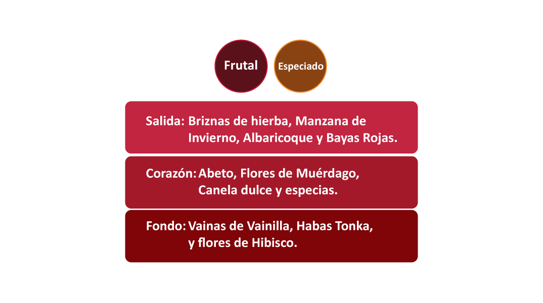 piramide-scarlet-web-boles