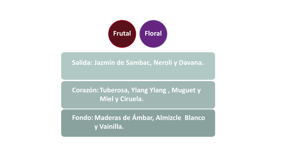 piramide-tuberose-web