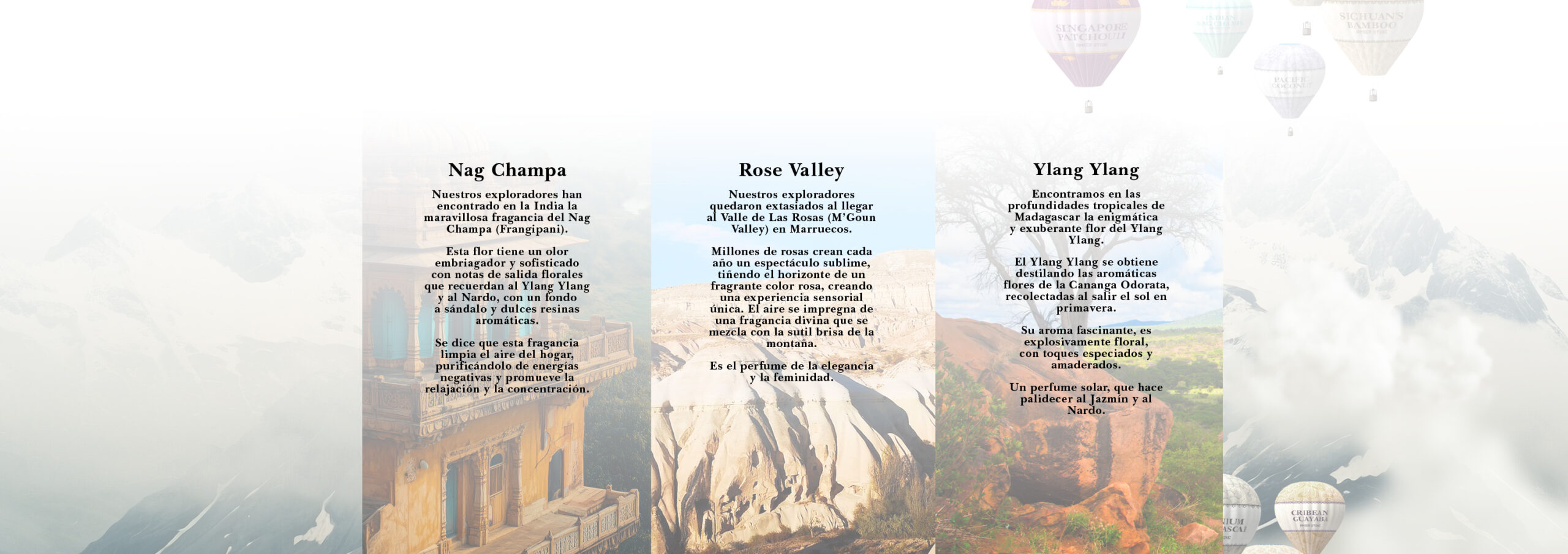 banner-AMBER-WORLD-aromas-texto