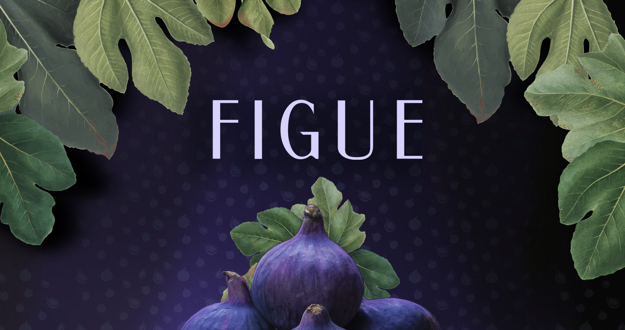 banner-figue-pequeño
