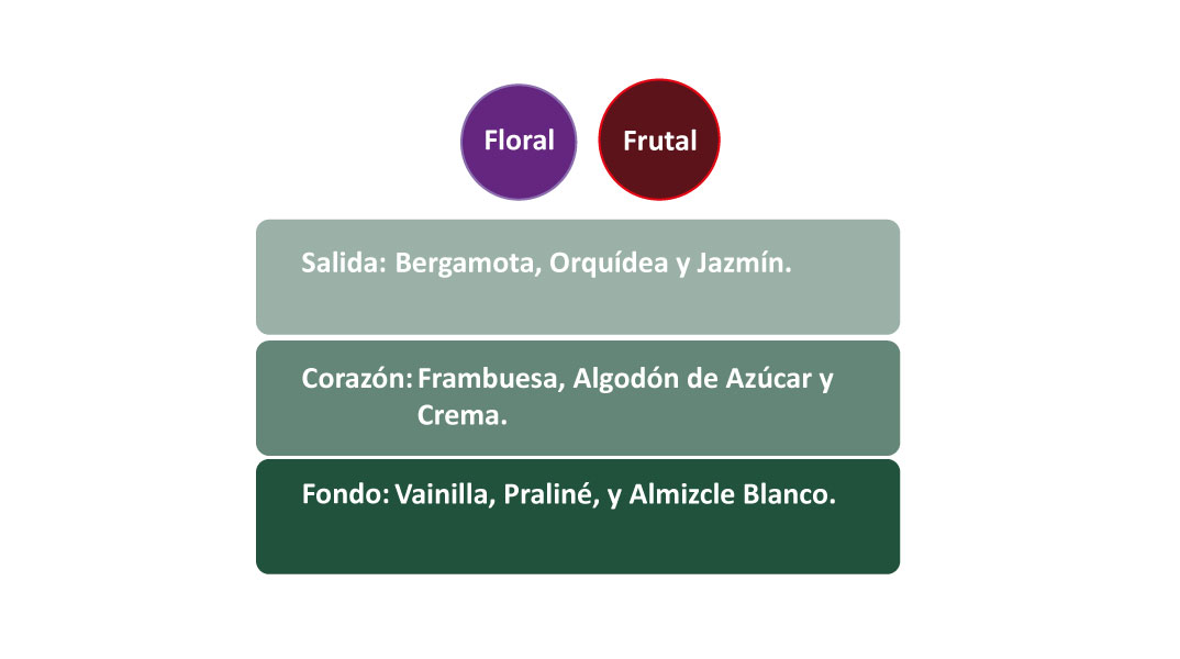 piramide-figue