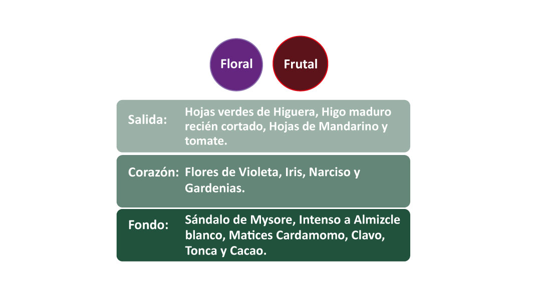 piramide-figue